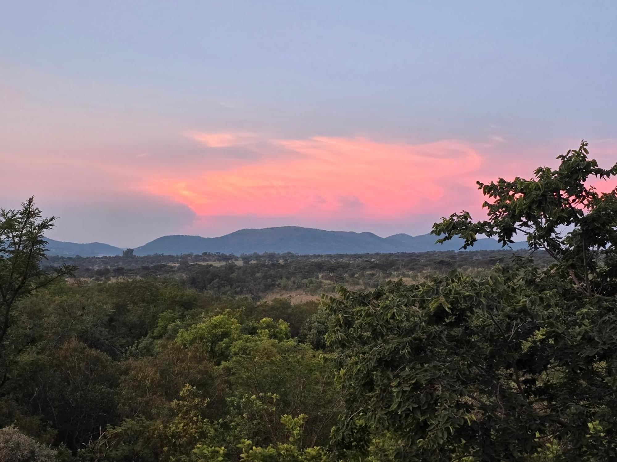Bietjie Bos Chalet