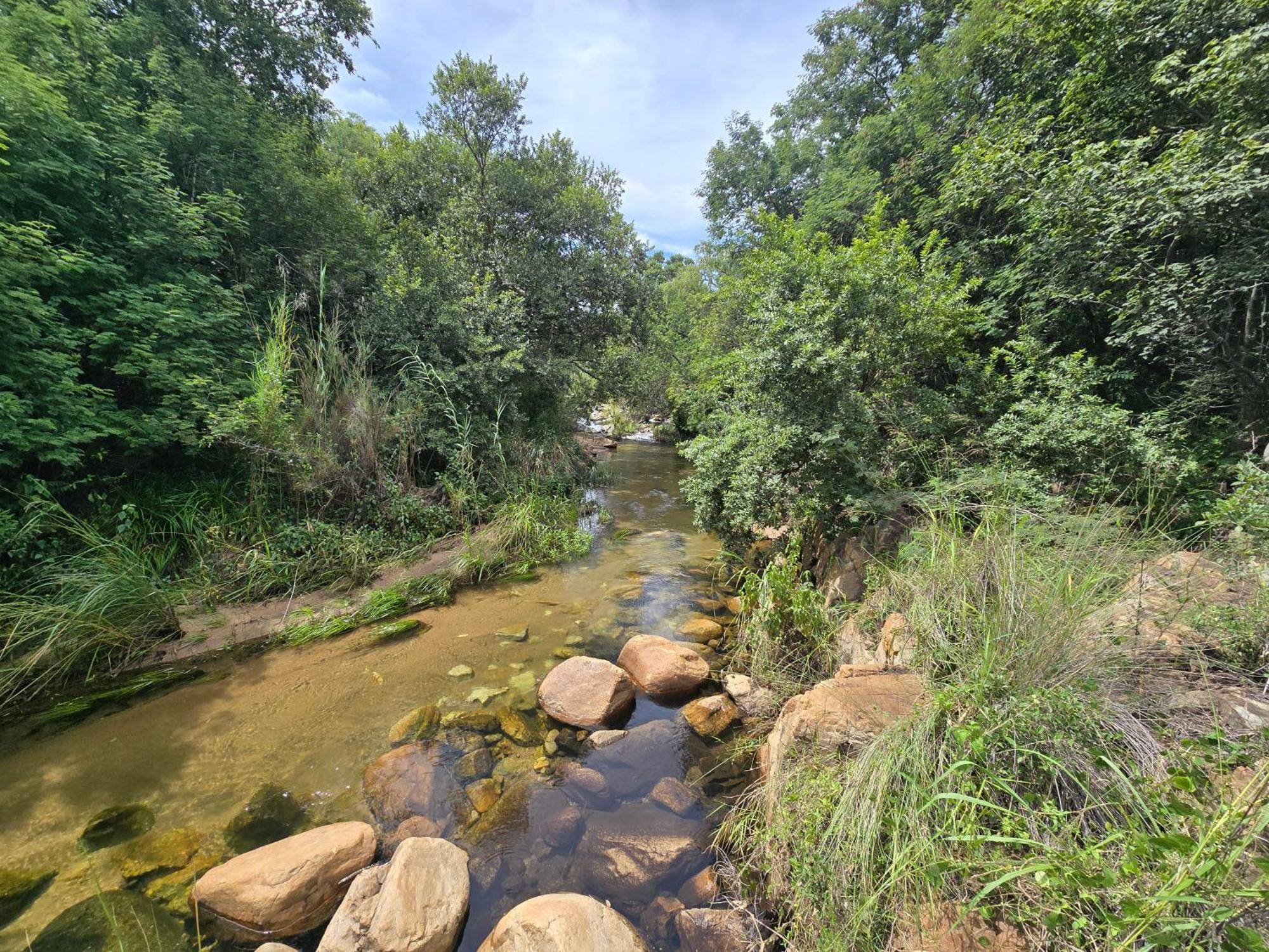 Bietjie Bos * Rustenburg